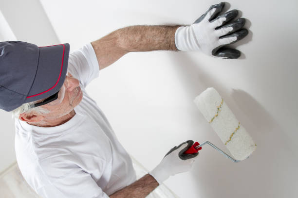 Best Basement Mold Removal  in Marion, OH