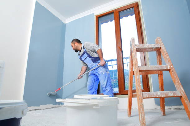 Mold Documentation for Insurance Claims in Marion, OH