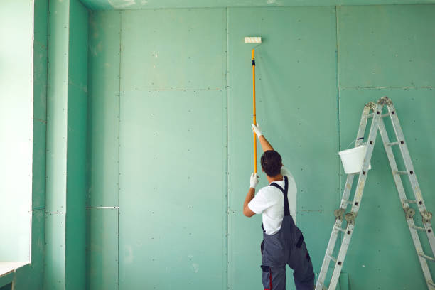 Best Emergency Mold Remediation  in Marion, OH