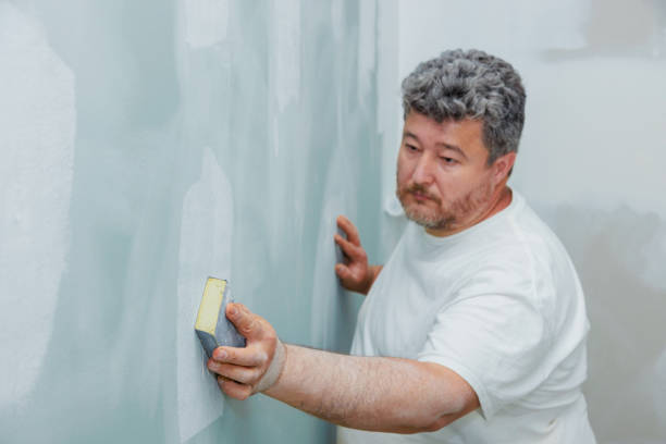 Trusted Marion, OH Mold Removal Experts