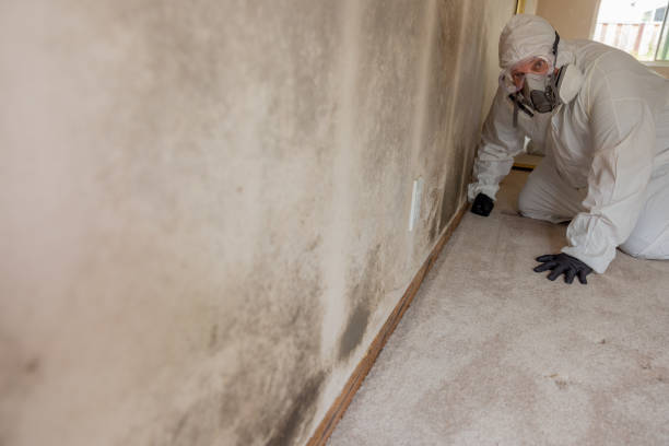 Best Commercial Mold Inspection  in Marion, OH
