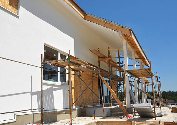 Best Mold Damage Restoration  in Marion, OH