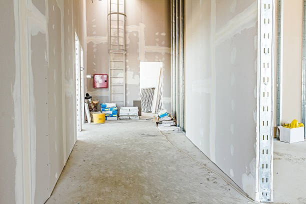 Best Environmental Consulting for Mold Prevention  in Marion, OH