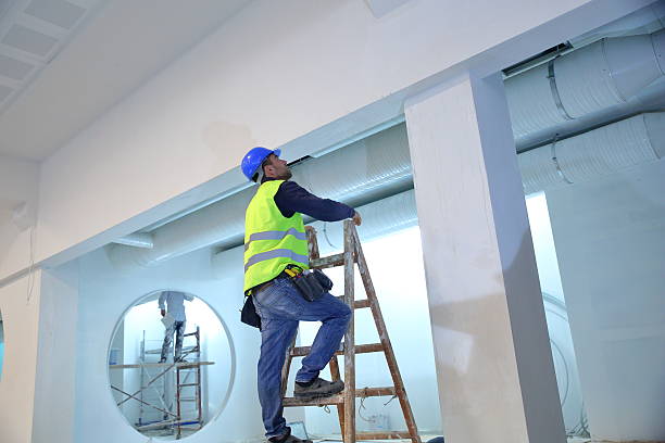 Best Emergency Mold Remediation  in Marion, OH